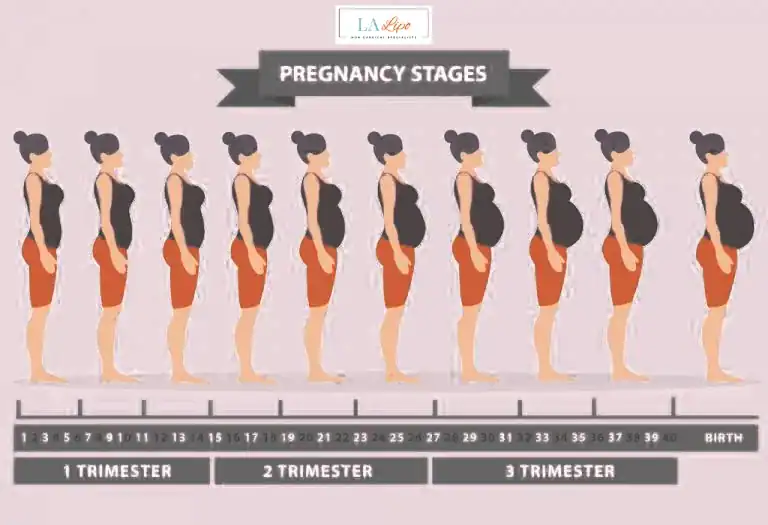 First Trimester (Weeks 1–12): Early Changes You Might Not Notice West Mersea